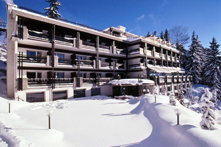 Hôtel de la Forêt