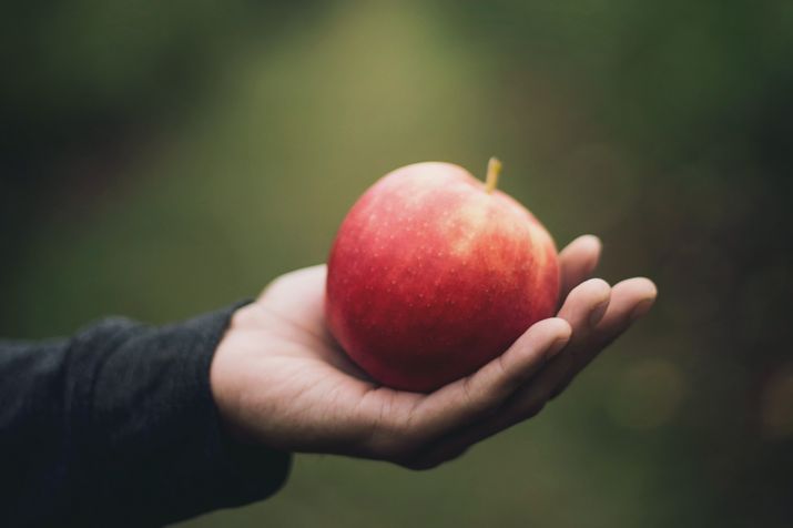 Food Waste Food Waste