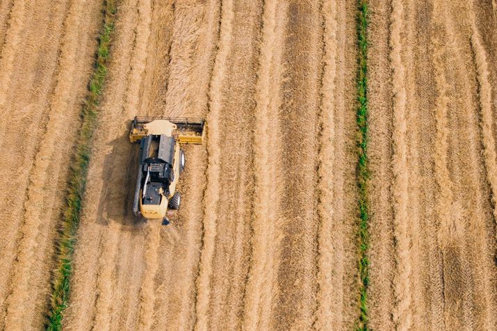 Libero scambio agricolo Libero scambio agricolo