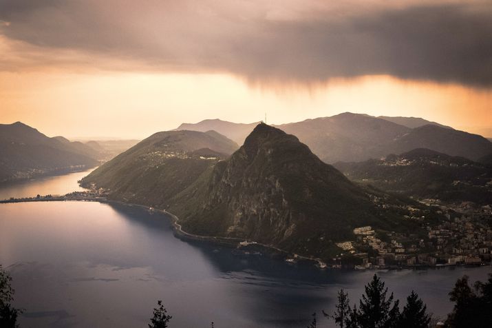 Chi siamo Chi siamo