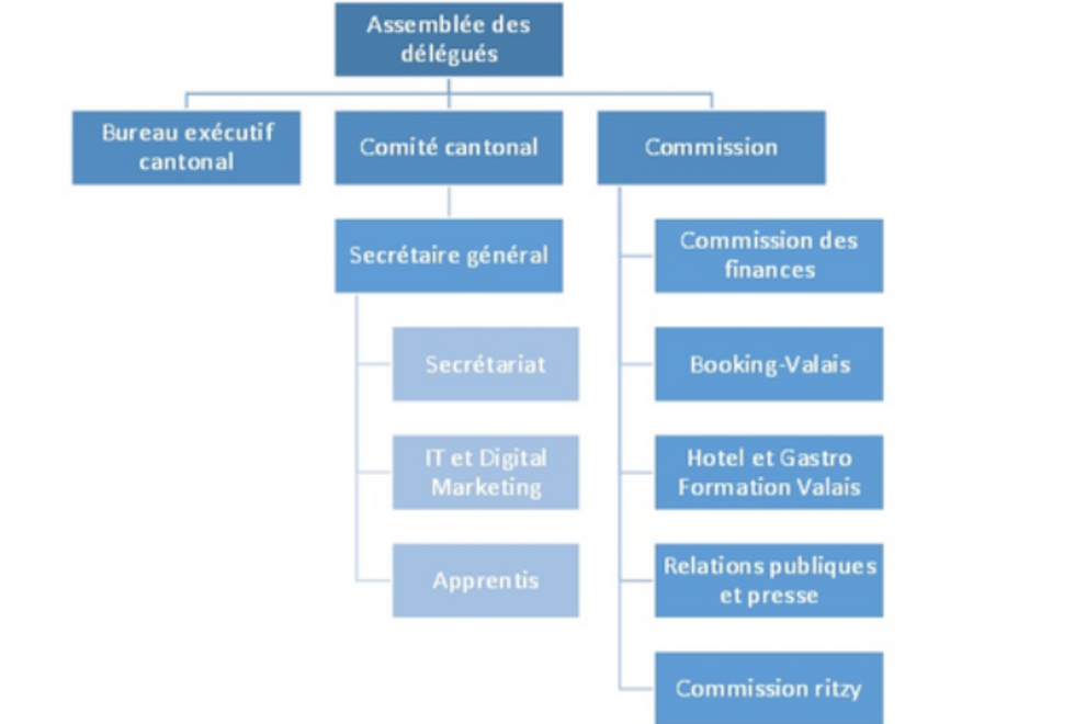 Organigramme